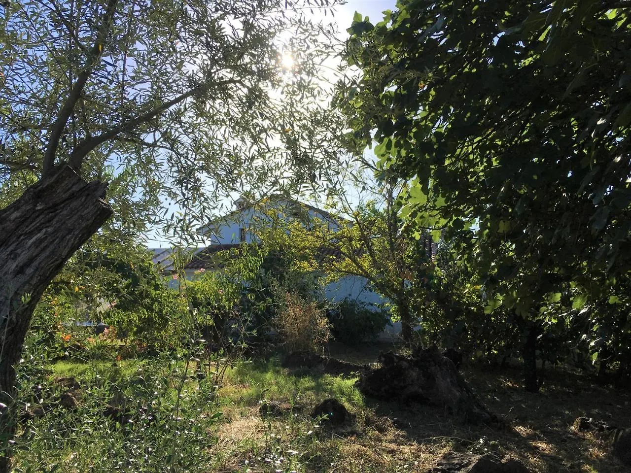 Finca Horno De Cal Aracena 0*,  Spain